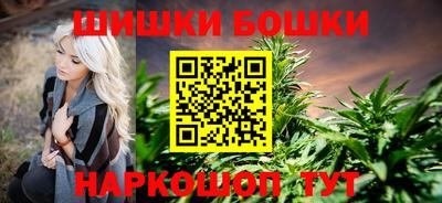 сатива Гай