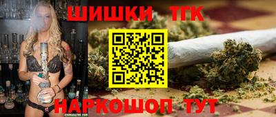 сатива Гай