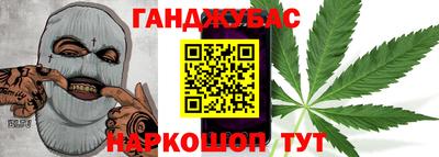 сатива Гай