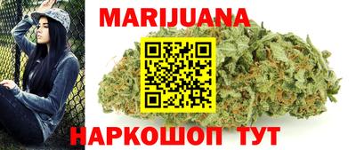 сатива Гай