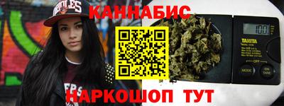 сатива Гай