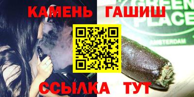 сатива Гай
