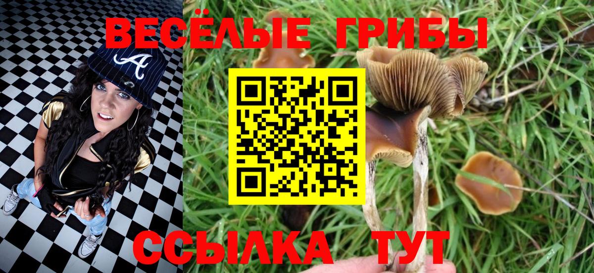Новочебоксарск  Галлюциногенные грибы ЛСД  Псилоцибиновые грибы мухоморы  Вход с VPN 