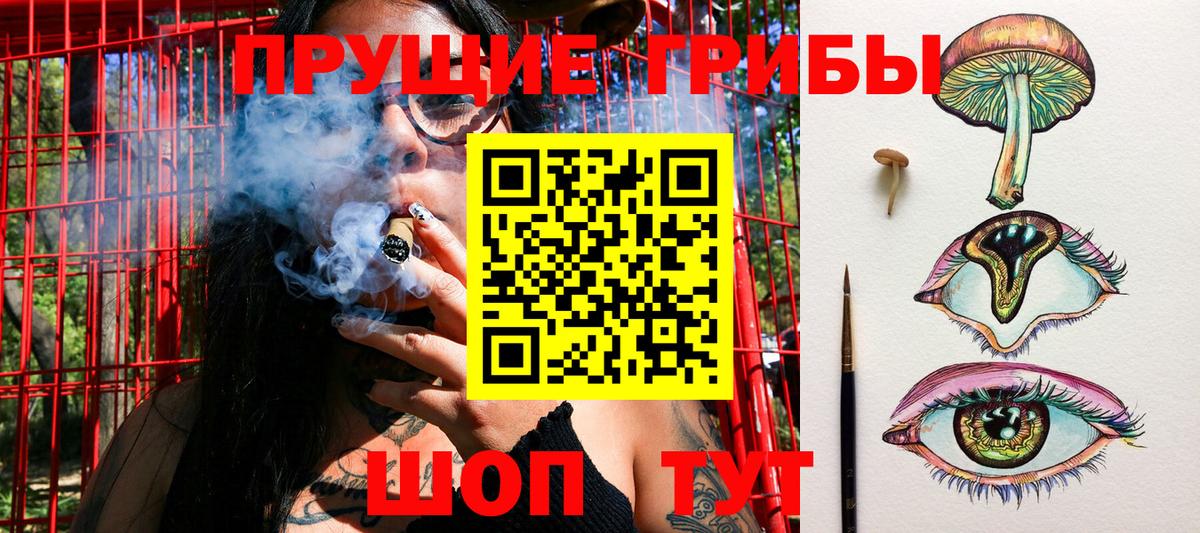 Псилоцибиновые грибы мухоморы Новочебоксарск